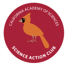 New Science Summer Camps Added