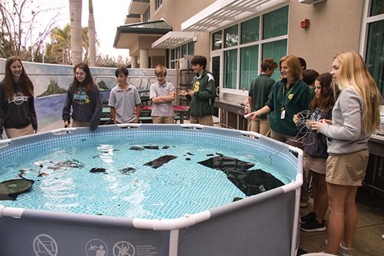 Shorecrest School