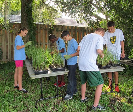 Shorecrest School