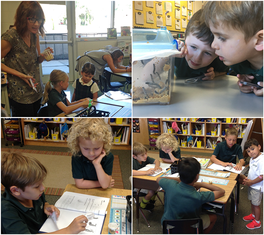 Shorecrest School