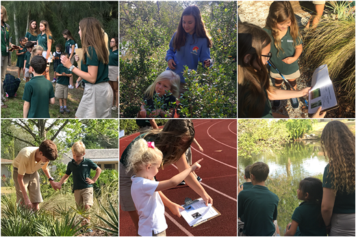 Shorecrest School